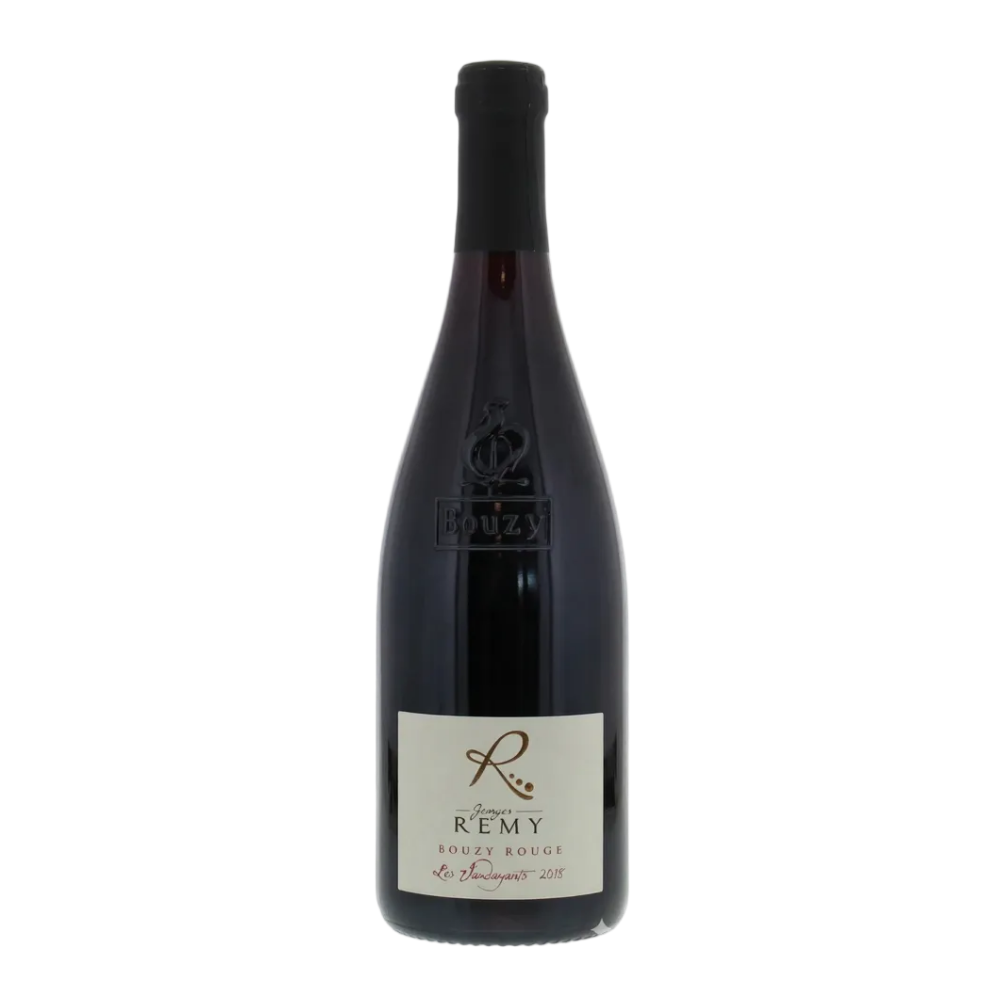 2018 Georges Remy Les Vaudayants Bouzy Rouge Coteaux Champenois France 750mL