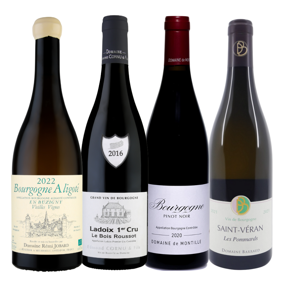 The Burgundy Insider Collection (Mixed Red & White)