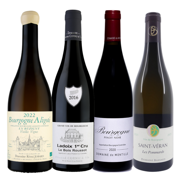 The Burgundy Insider Collection (Mixed Red & White)