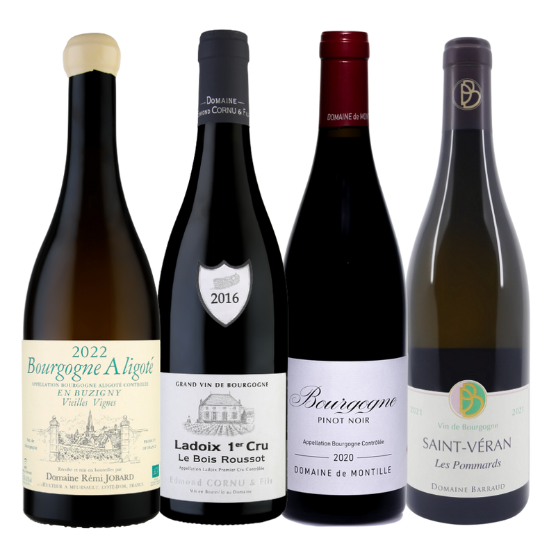 The Burgundy Insider Collection (Mixed Red & White)