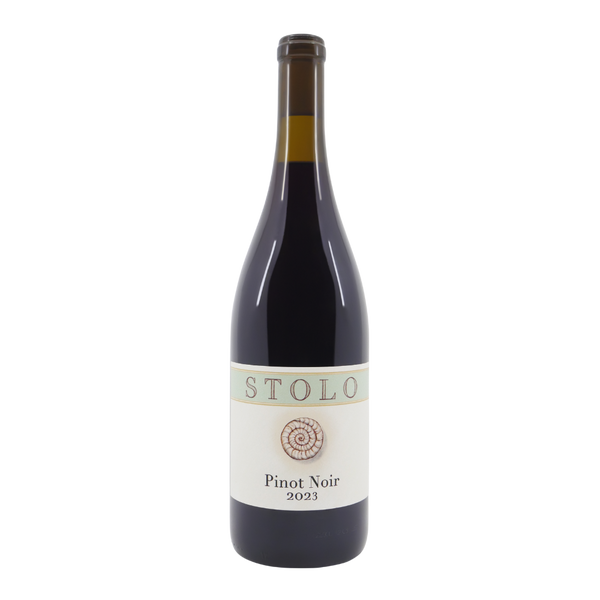 2023 Stolo Pinot Noir San Luis Obispo